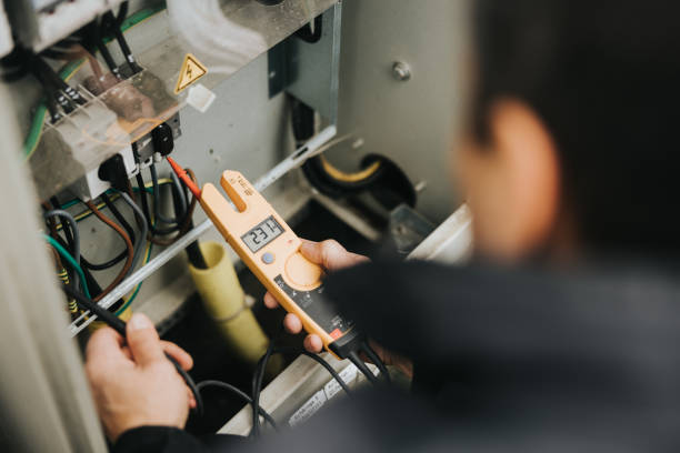 Best Affordable Electrician  in Denmark, SC