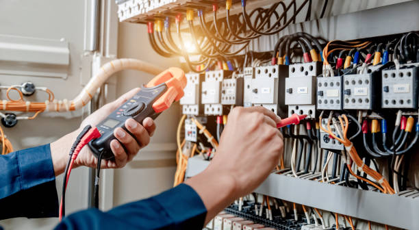 Best Electric Panel Repair  in Denmark, SC