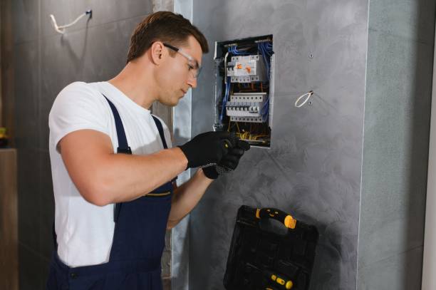 Best Home Electrical Repair  in Denmark, SC
