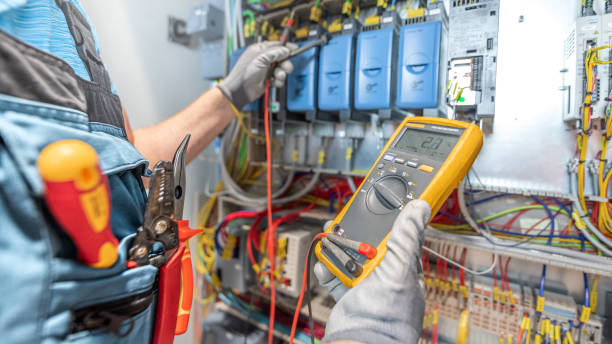 Best Industrial Electrical Services  in Denmark, SC