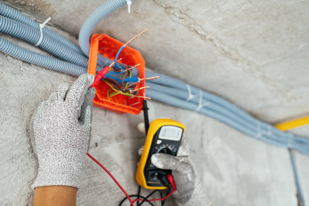 Best Electrical Upgrades for Homes  in Denmark, SC